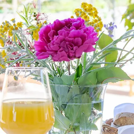 Maestral Arba B&B 3*